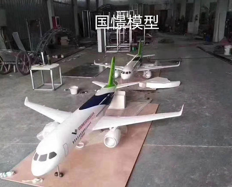 威信县飞机模型