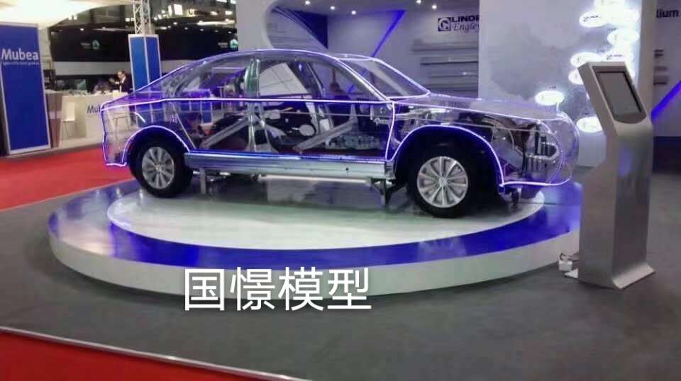 威信县透明车模型