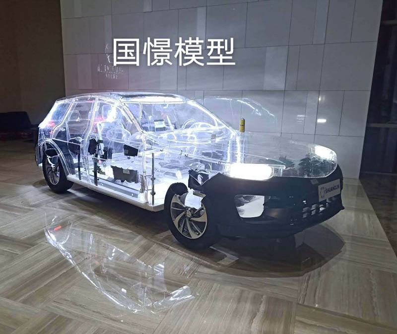 威信县透明车模型